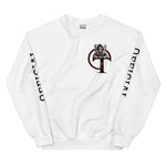 College Sleeve print Unisex Sweatshirt - O.T Official